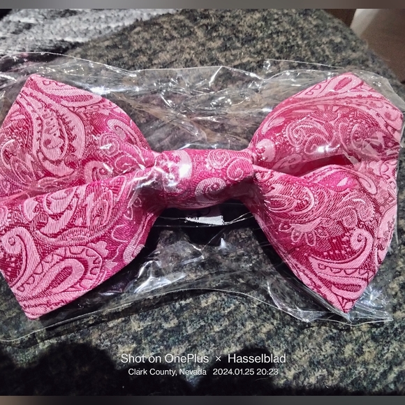 Pet Hair Bowties - Picture 1 of 2